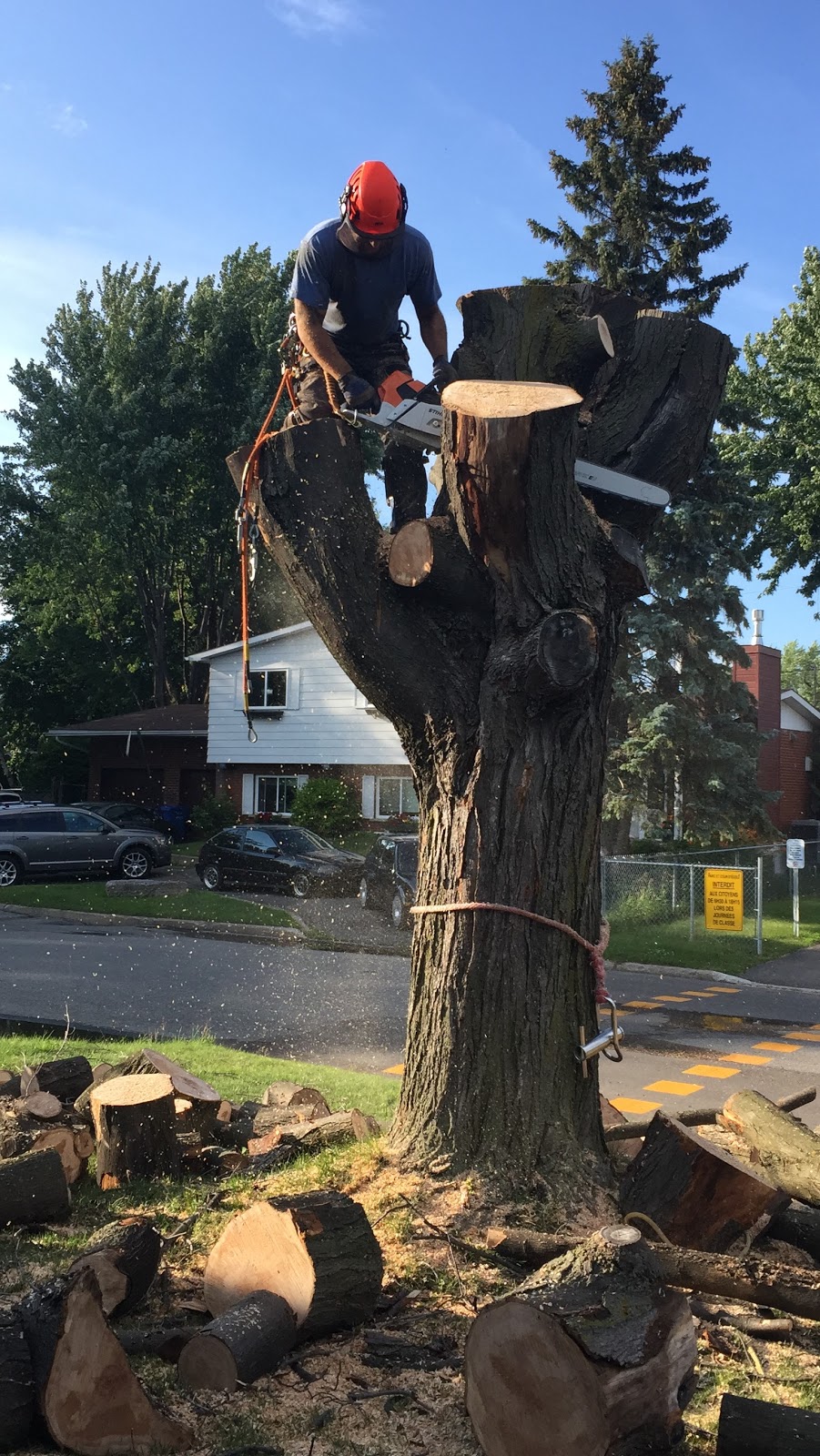 Mayfair Tree Care Ltd | 115 Northwind Rd, Pleasantville, NS B0R 1G0, Canada | Phone: (902) 543-3503