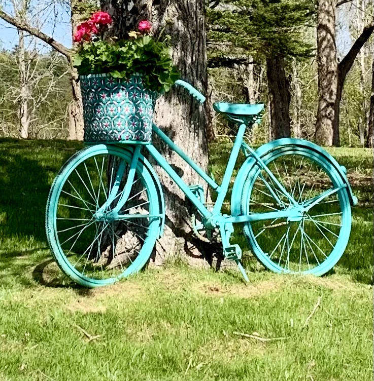 Blue Bike Farm | 5058 NS-12, New Ross, NS B0J 2M0, Canada | Phone: (902) 689-2555