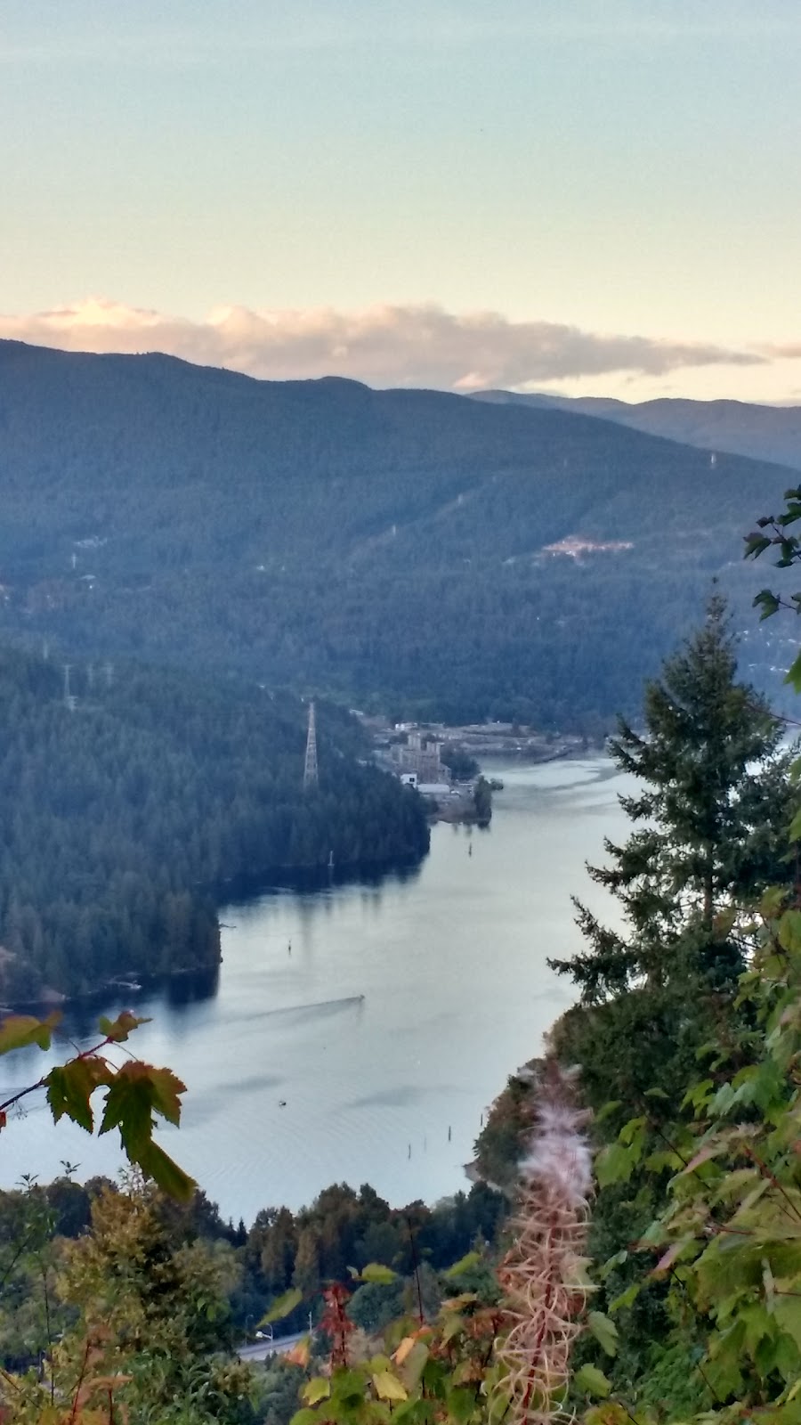 Burnaby Mountain Conservation Area | 800 Burnaby Mountain Pkwy, Burnaby, BC, Canada | Phone: (604) 294-7450