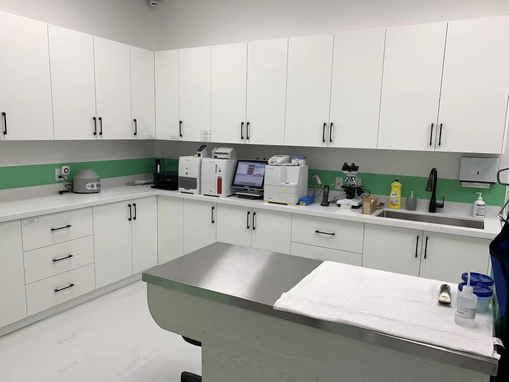 Greenhill Animal Hospital | 9688 Leslie St Unit 11, Richmond Hill, ON L4B 4C4, Canada | Phone: (905) 787-8868