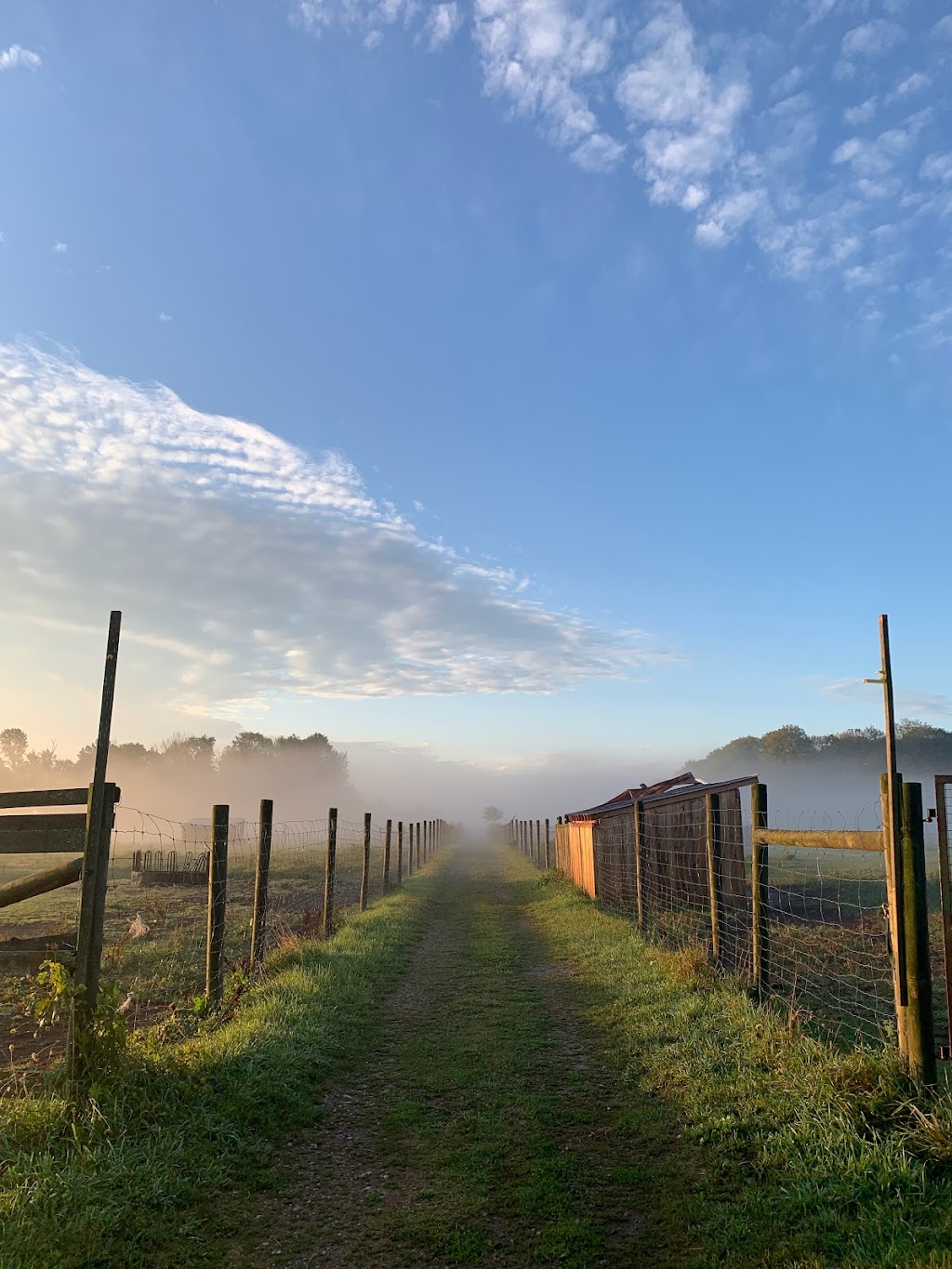 Freehand Farm Inc. | 5868 Penetanguishene Rd, Elmvale, ON L0L 1P0, Canada | Phone: (416) 844-4685