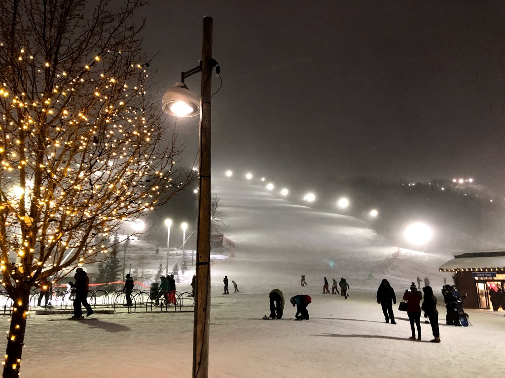 Activity Central | 190 Jozo Weider Blvd, The Blue Mountains, ON L9Y 3Z2, Canada | Phone: (877) 445-0231