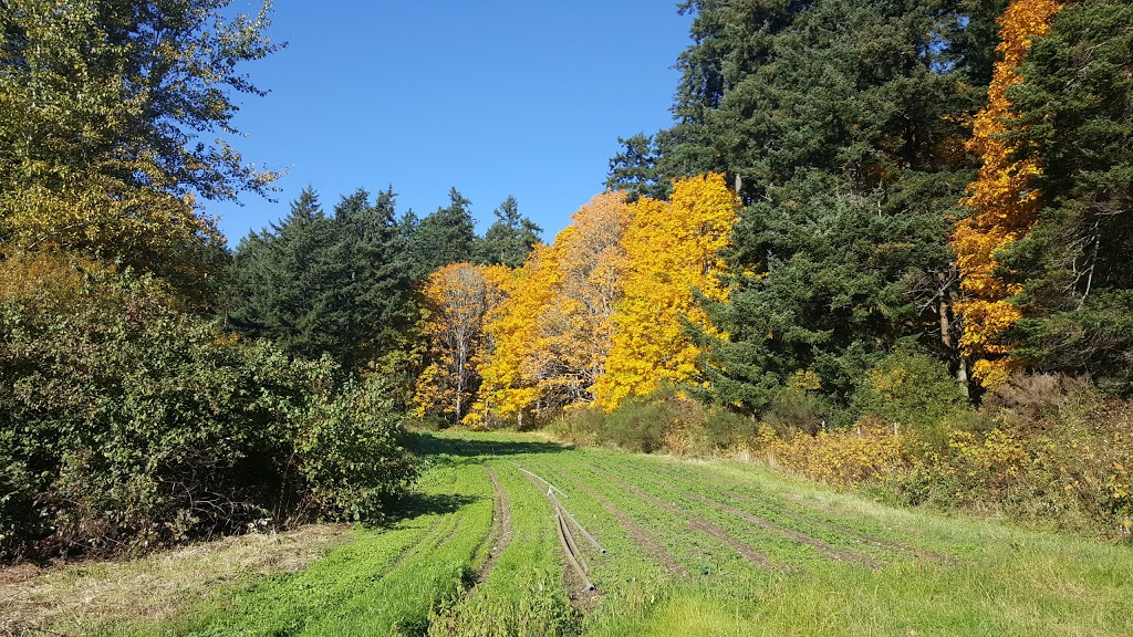 Mount Douglas Park | 4500 Cedar Hill Rd, Victoria, BC, Canada | Phone: (250) 475-5522