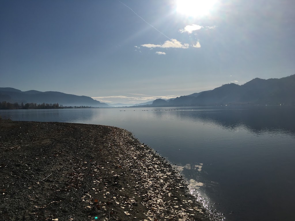 Brookvale Holiday Resort Inc | 1219 E. Lakeshore Drive, Osoyoos, BC V0H 1V6, Canada | Phone: (250) 495-7514