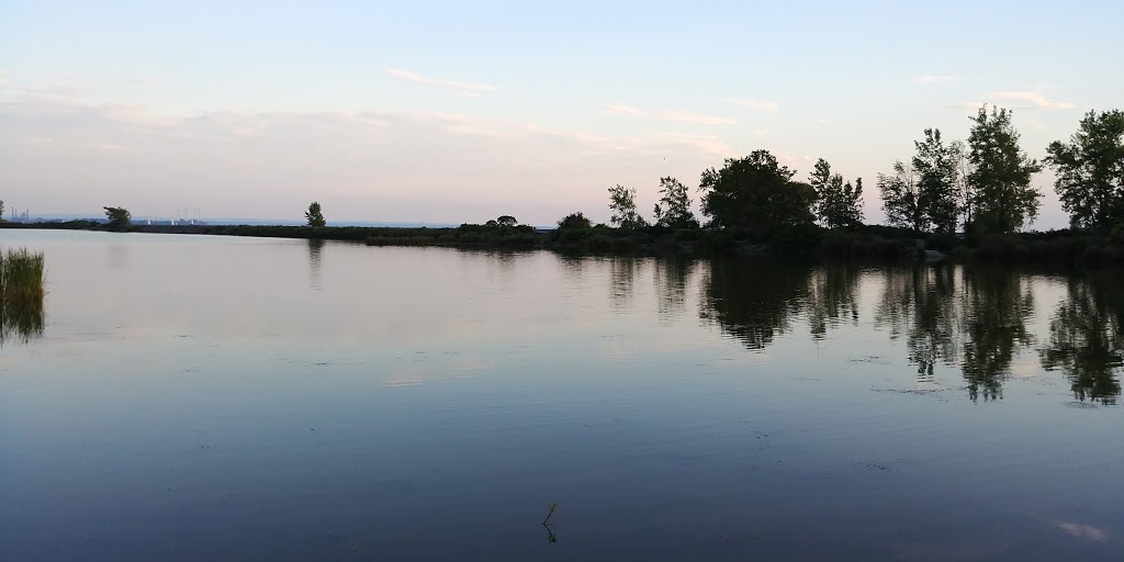Times Beach Nature Preserve | Coast Guard Station S Rd, Buffalo, NY 14203, USA | Phone: (716) 896-1271