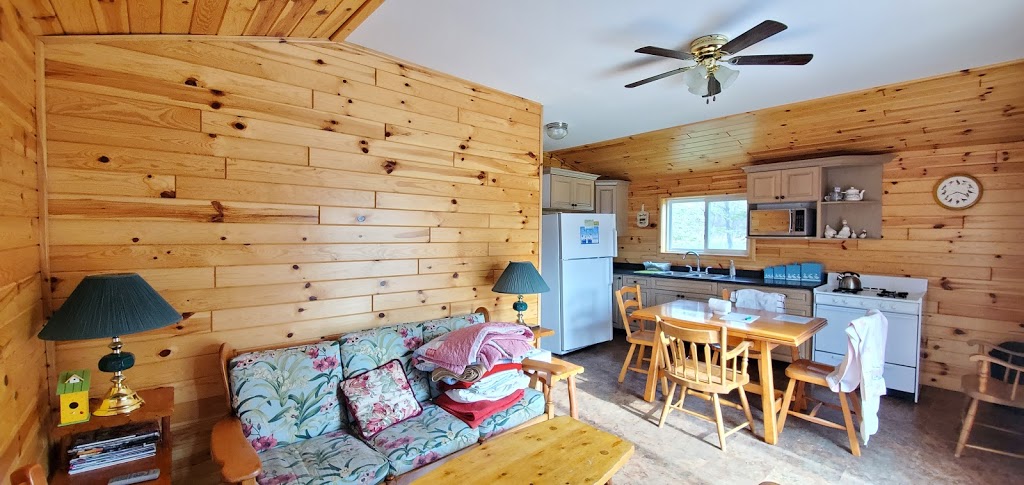 Trent River Cottages | lodging | 1329 County Rd 45, Hastings, ON K0L 1Y0, Canada | 7056962861 OR +1 705-696-2861