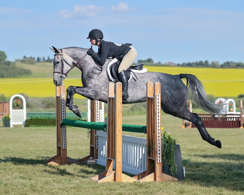 Benchmark Equestrian | 226039 88 St E, De Winton, AB T0L 0X0, Canada | Phone: (403) 397-0680
