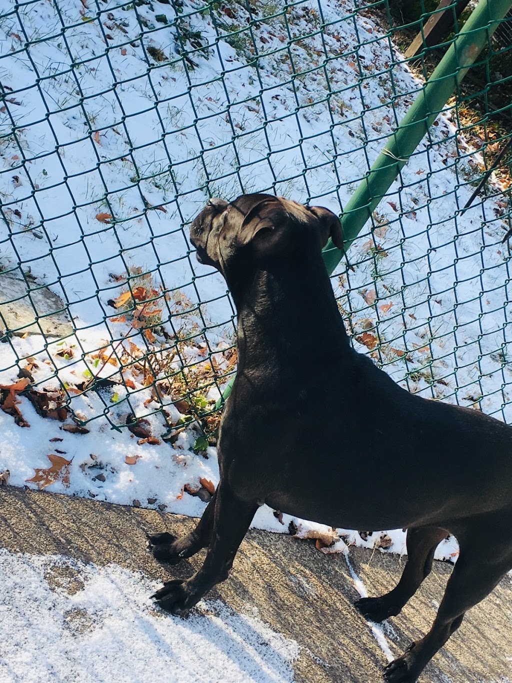 SPCA Serving Erie County | 300 Harlem Rd, West Seneca, NY 14224, USA | Phone: (716) 875-7360