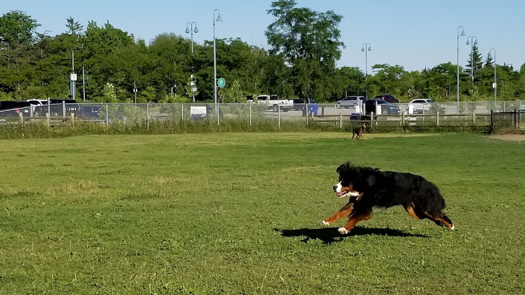 Colonel Samuel Smith Dog Park | dr 4b6, 65 Colonel Samuel Smith Park Dr, Etobicoke, ON M8V 4B6, Canada