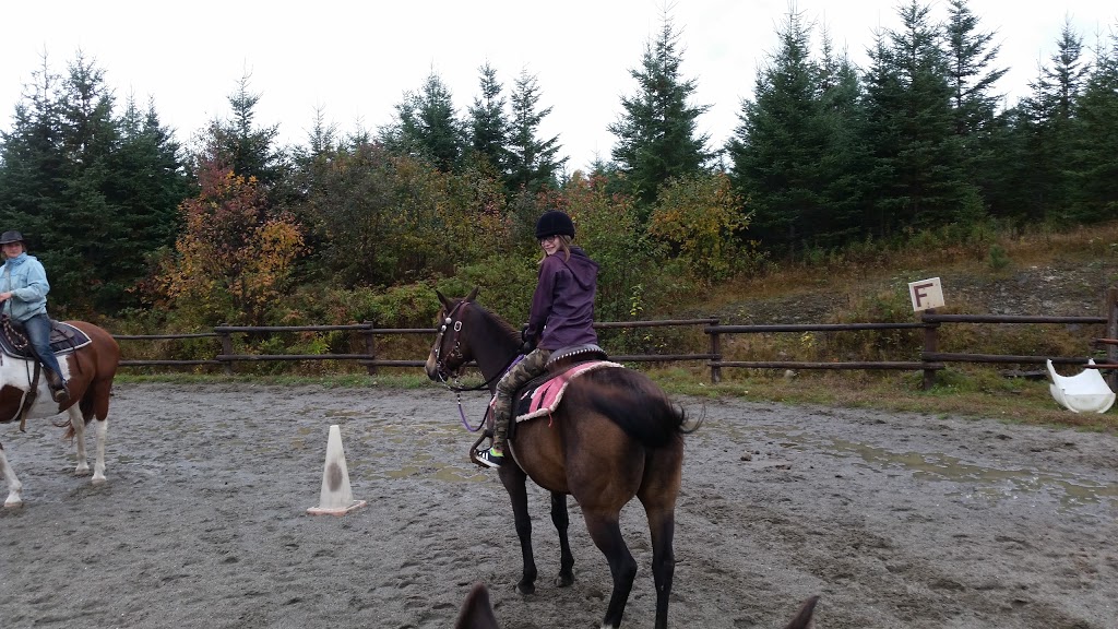 Centre Equestre Le Vent Du Sud | 254 Rang des Grenier, Piopolis, QC G0Y 1H0, Canada | Phone: (819) 583-0202