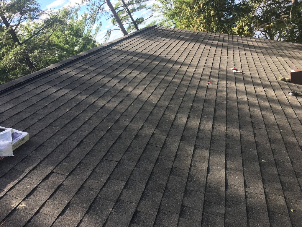 David Stewart Roofing | 53 Savage Dr, Stittsville, ON K2S 1H4, Canada | Phone: (613) 809-9961
