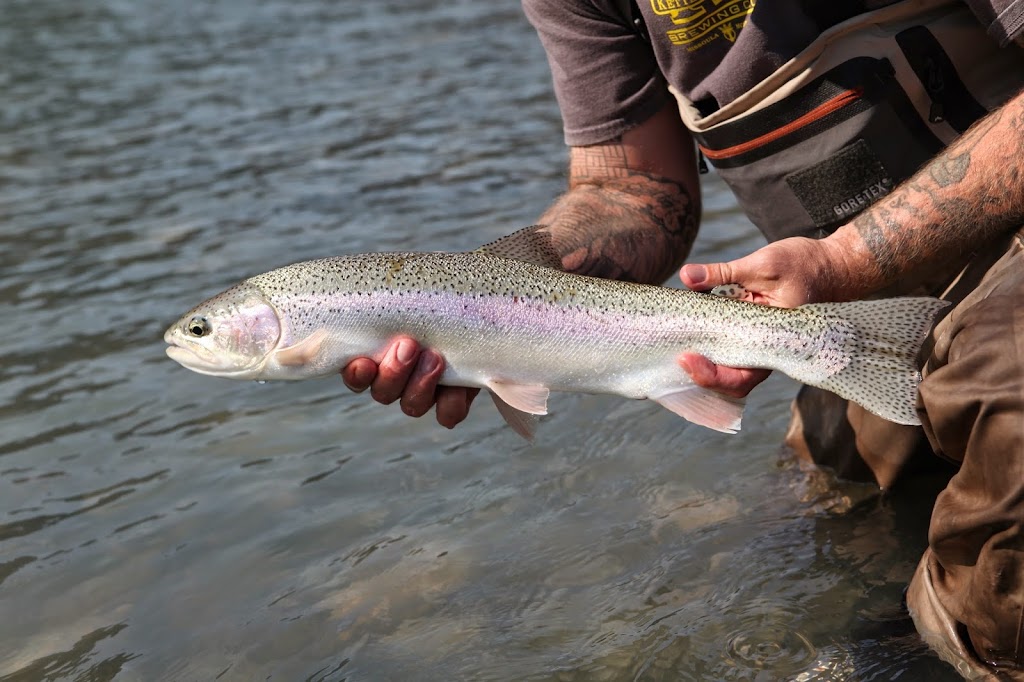 Valley Fishing Guides Ltd. | 41955 Birken Rd, Brackendale, BC V0N 1H0, Canada | Phone: (604) 938-4458
