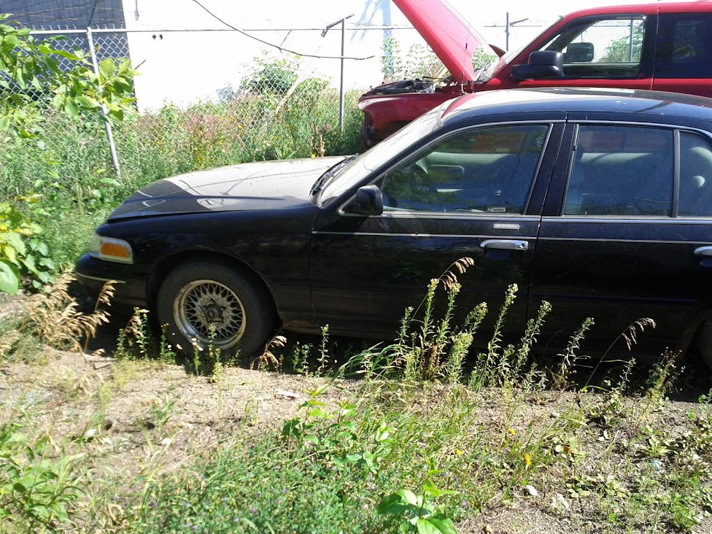 Primo Auto Care Inc | 8620 126 Ave NW, Edmonton, AB T5B 1G9, Canada | Phone: (780) 471-6109