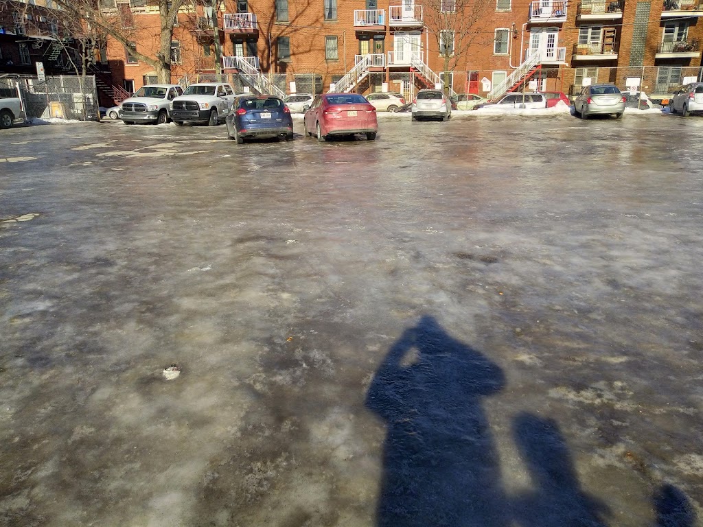 Club de Patinage Artistique Camillien Houde | 1696 Rue Montcalm, Montréal, QC H2L 3H4, Canada | Phone: (514) 596-0953