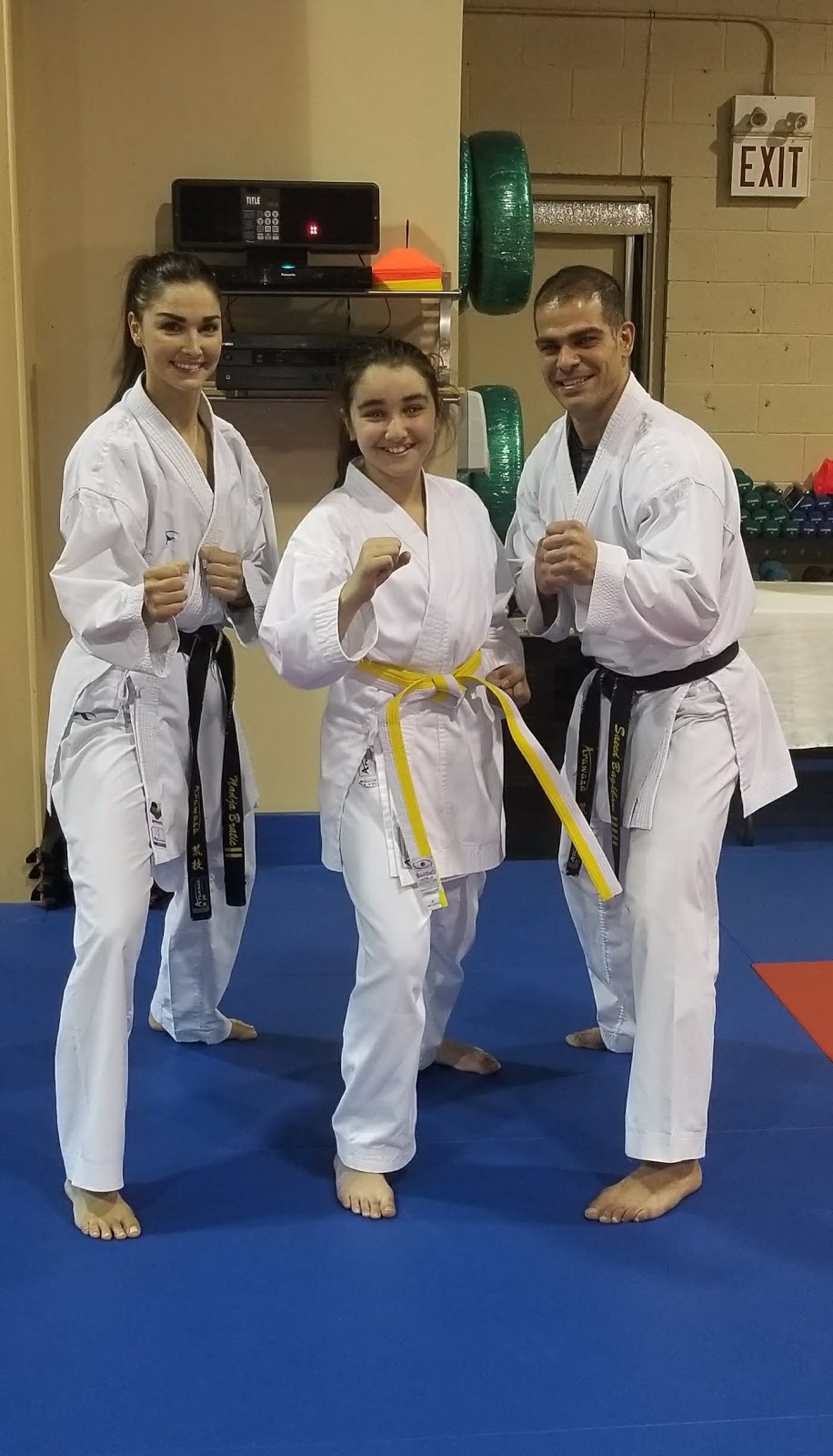 Senshuken Martial Arts Academy | 41 Industrial Pkwy S Unit 1 & 2, Aurora, ON L4G 3Y5, Canada | Phone: (905) 503-3053