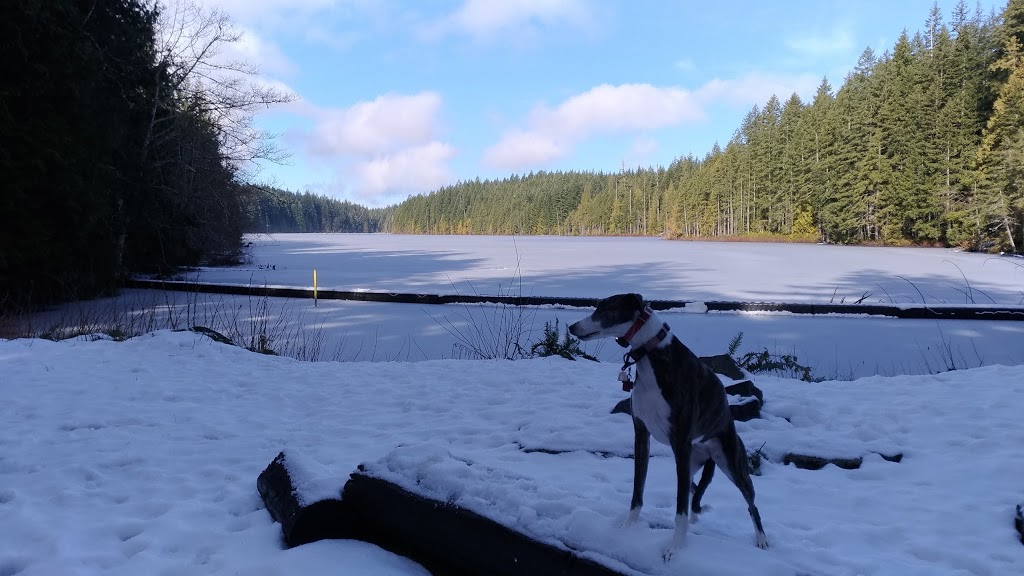 Stocking Lake Regional Park | 0A8, Stocking Lake Trail, Ladysmith, BC V9G 2C4, Canada | Phone: (250) 746-2500