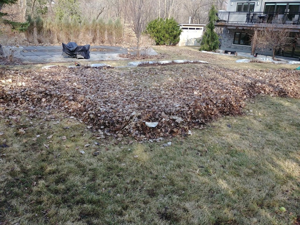 Bright Lawn & Garden | 43 Glass Dr, Aurora, ON L4G 2E6, Canada | Phone: (905) 713-9352