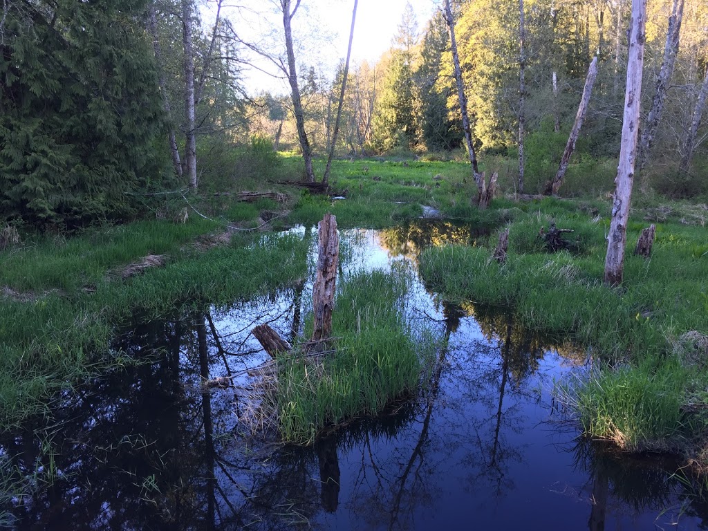Morden Colliery Historic Provincial Park | Morden Rd, Nanaimo, BC V9X 1T9, Canada | Phone: (250) 474-1336
