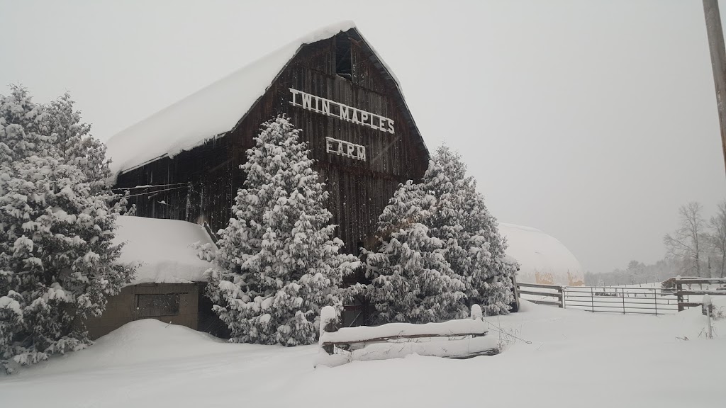 Twin Maples Farm | 1227 Base Line Rd, Severn Bridge, ON P0E 1N0, Canada | Phone: (705) 689-0182