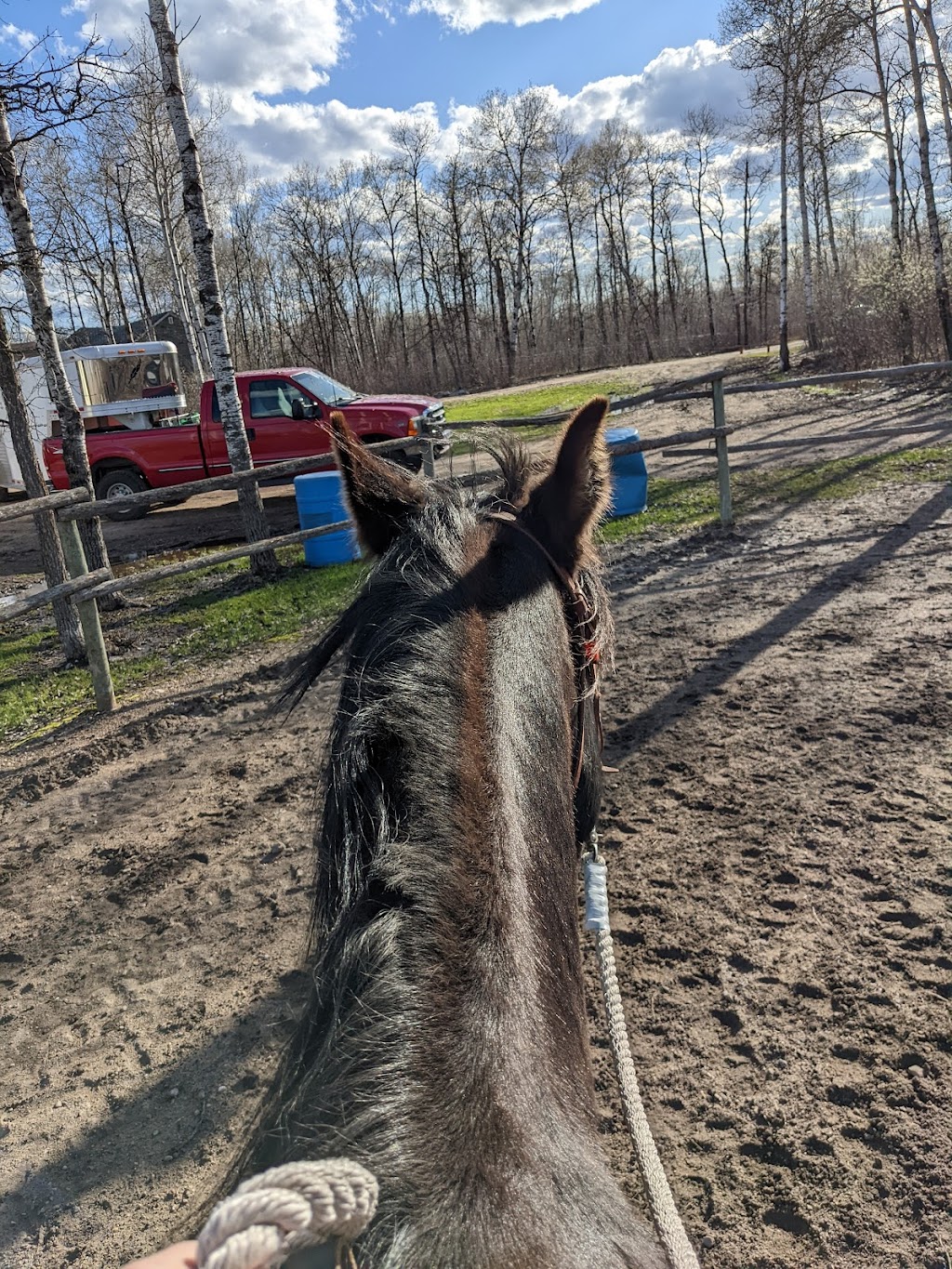 Ride like the Wind Equestrian and Wellness Center | 59119 Pleasant Rd, Anola, MB R5L 0E7, Canada | Phone: (204) 795-6084