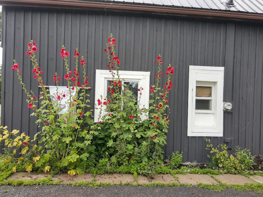 Veggies | 43 County Rd 12, Bloomfield, ON K0K 1G0, Canada | Phone: (613) 501-1753