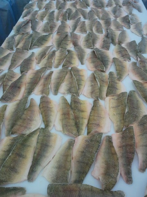 Taylor Fish Company | 419 Erie St S, Wheatley, ON N0P 2P0, Canada | Phone: (519) 825-7366