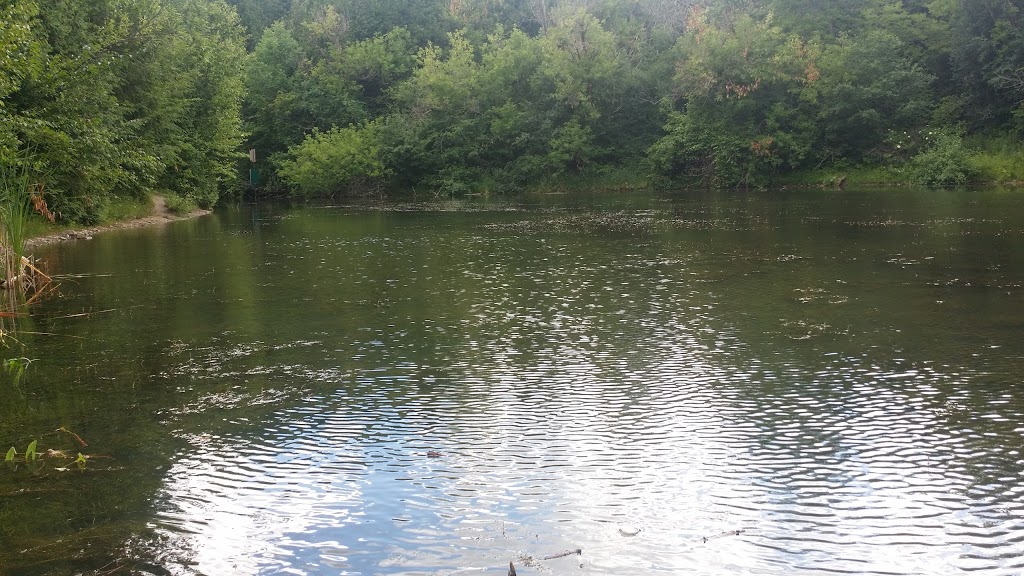 Enniskillen Conservation Area | Hampton, ON L0B 1J0, Canada | Phone: (905) 579-0411