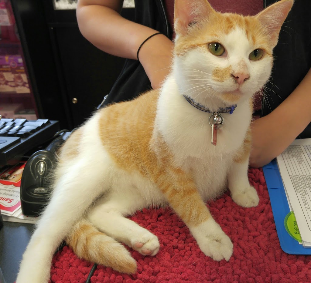 Pet Valu | 1134 Taylor Ave, Winnipeg, MB R3M 3Z4, Canada | Phone: (204) 475-4505
