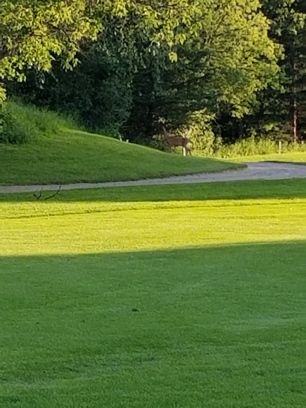 Minnewasta Golf & Country Club | 19 Buhler Dr, Morden, MB R6M 1A2, Canada | Phone: (204) 822-4992