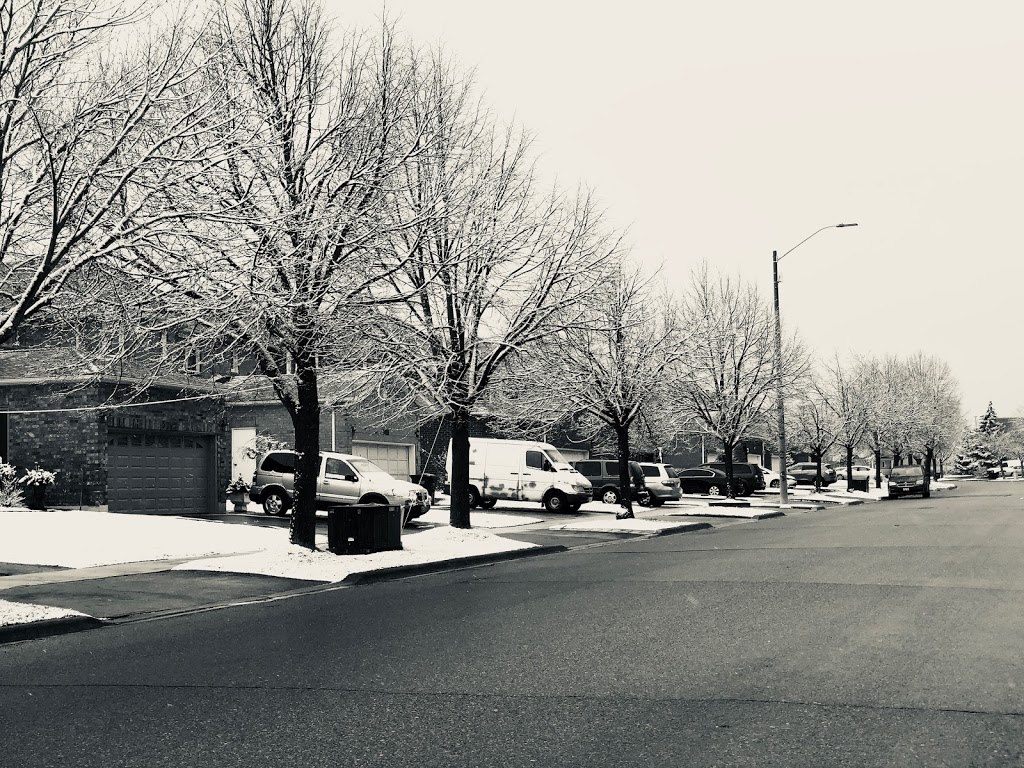 Madill Common Park | 525 Huntington Ridge Dr, Mississauga, ON L5R 2X7, Canada