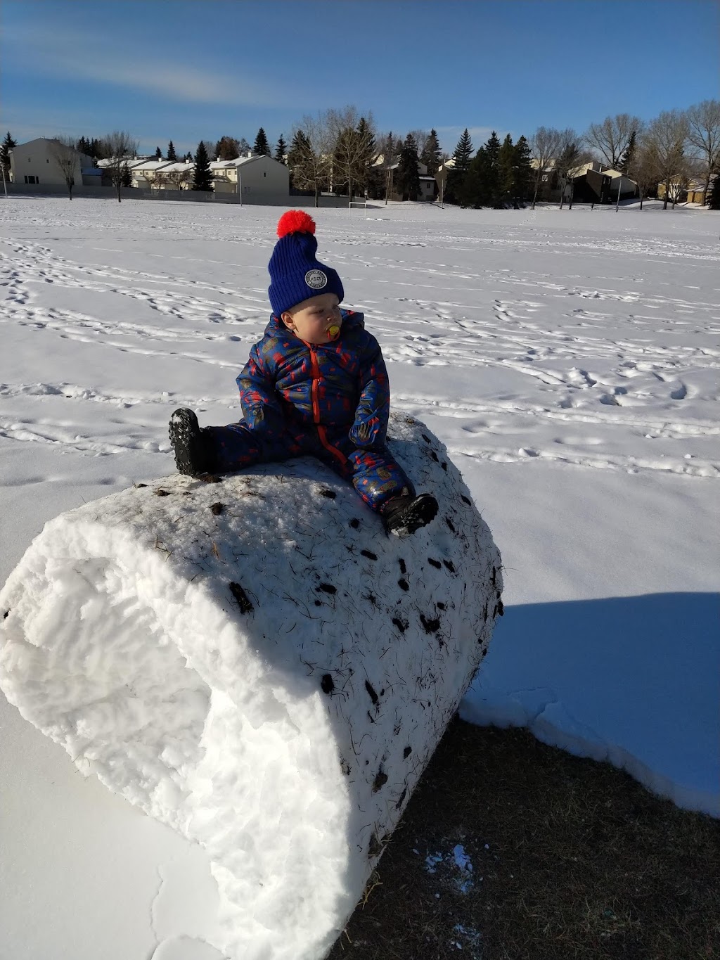 Hillview Park | 3520 56 St NW, Edmonton, AB T6L 2J5, Canada