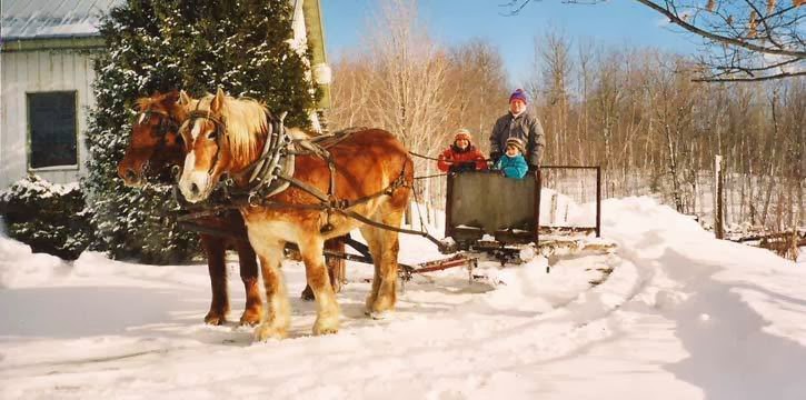 Au Domaine Gite Vallée des Roseaux | 56 Rue Laurier O, Victoriaville, QC G6P 6P3, Canada | Phone: (819) 357-8443