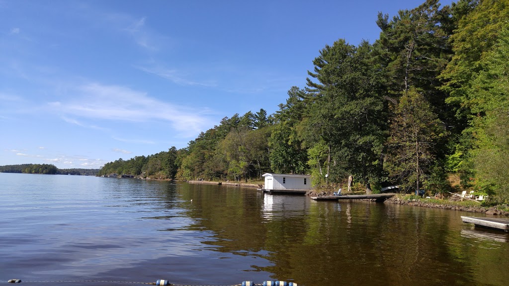 Bowyers Beach Park | Bowyers Beach Rd, Bracebridge, ON P1L 1W8, Canada