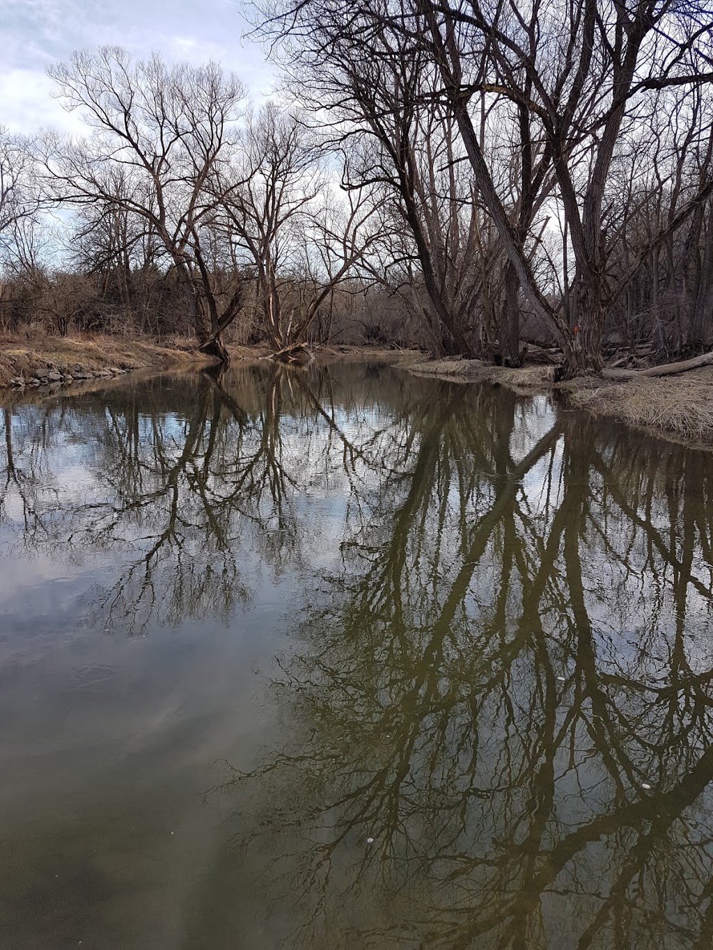 Clinton Conservation Area | 77800 ON-4, Clinton, ON N0M 1L0, Canada