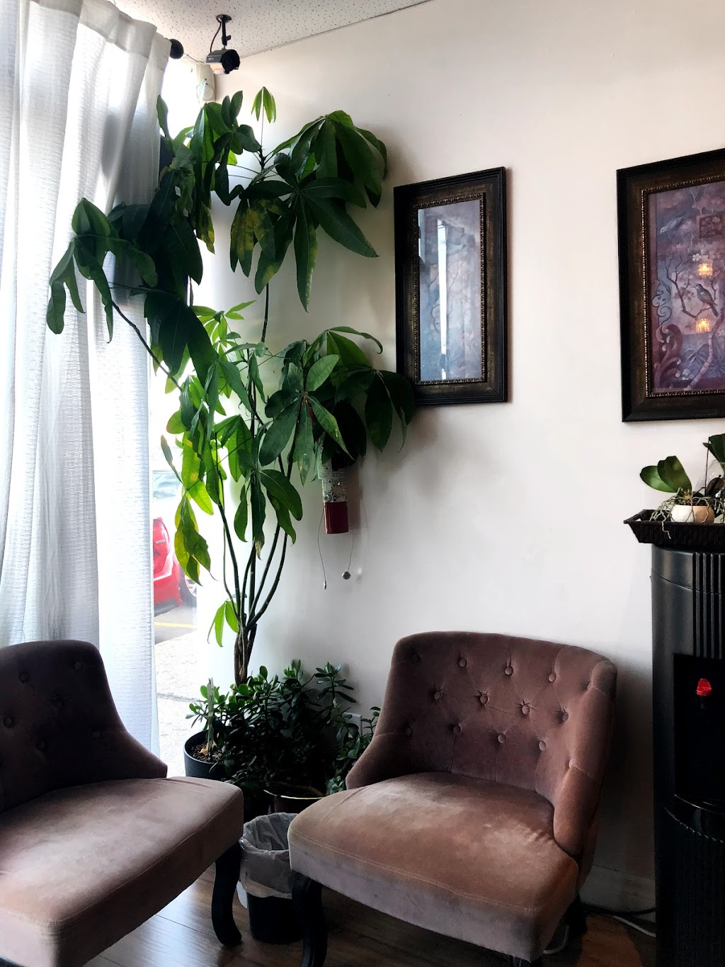 Natural Beauty | 720 Burnhamthorpe Rd W 32 A, Mississauga, ON L5C 3G1, Canada | Phone: (905) 896-8988