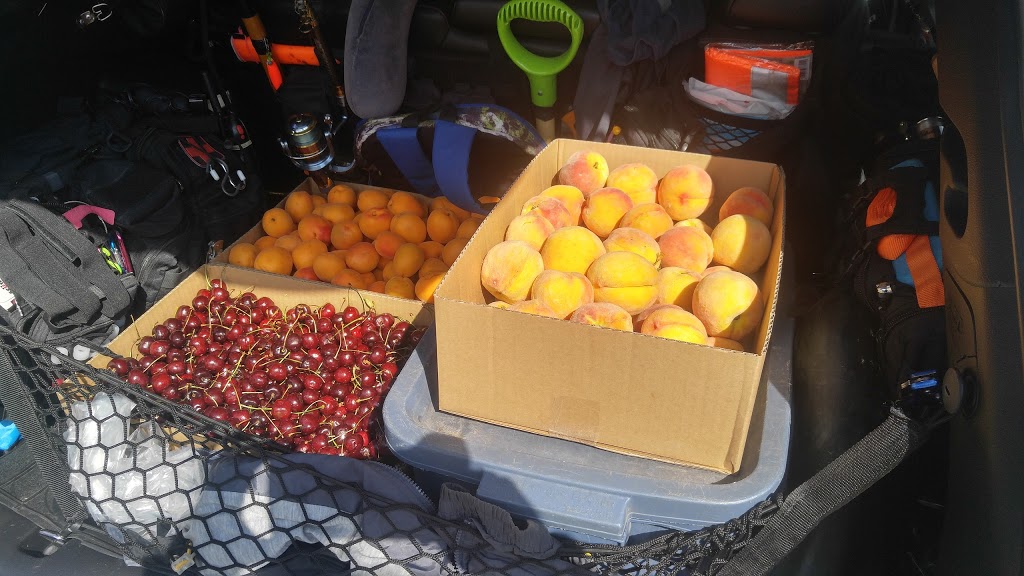 Lasser Produce | 601 Hwy 3A, Keremeos, BC V0X 1N0, Canada | Phone: (250) 499-5781