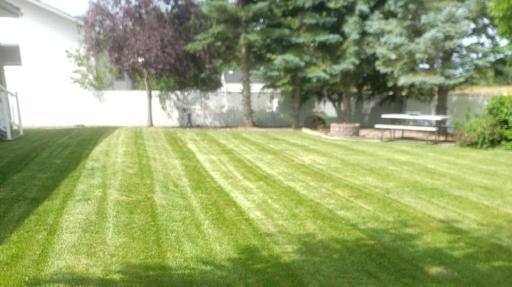 Bray-Meg Lawn Maintenance | Box 1142, Tofield, AB T0B 4J0, Canada | Phone: (780) 920-9820