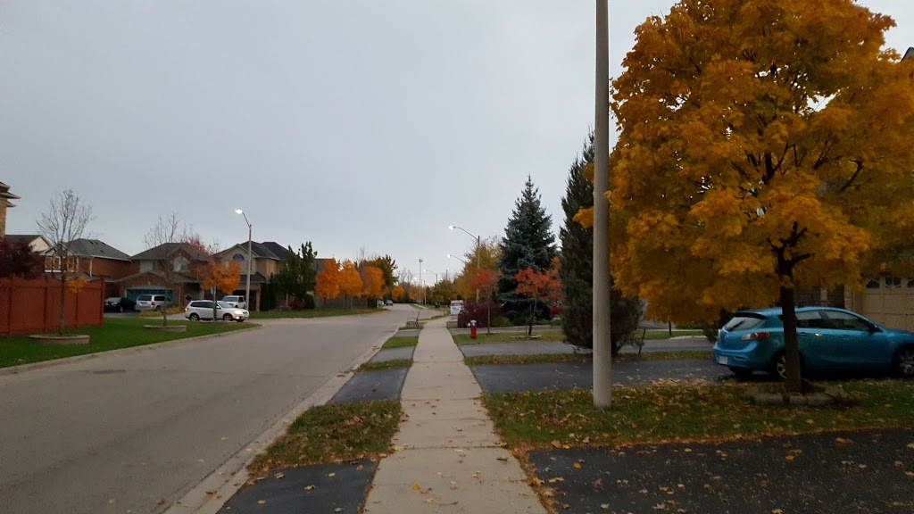 Cordingley Park | 6530 Saratoga Way, Mississauga, ON L5N 7W9, Canada | Phone: (905) 615-4311