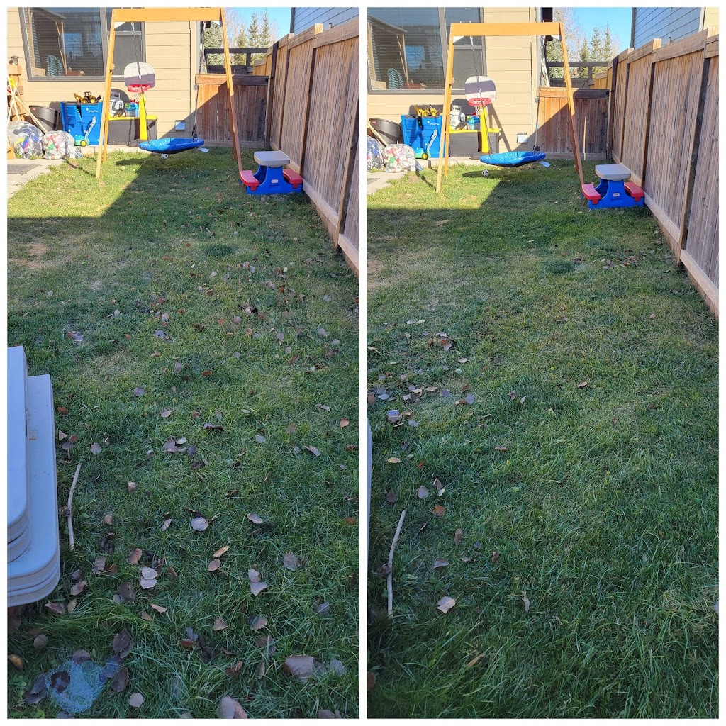 In the Line of Doodie | 3207 Kenmare Crescent SW, Calgary, AB T3E 4R4, Canada | Phone: (587) 581-9161