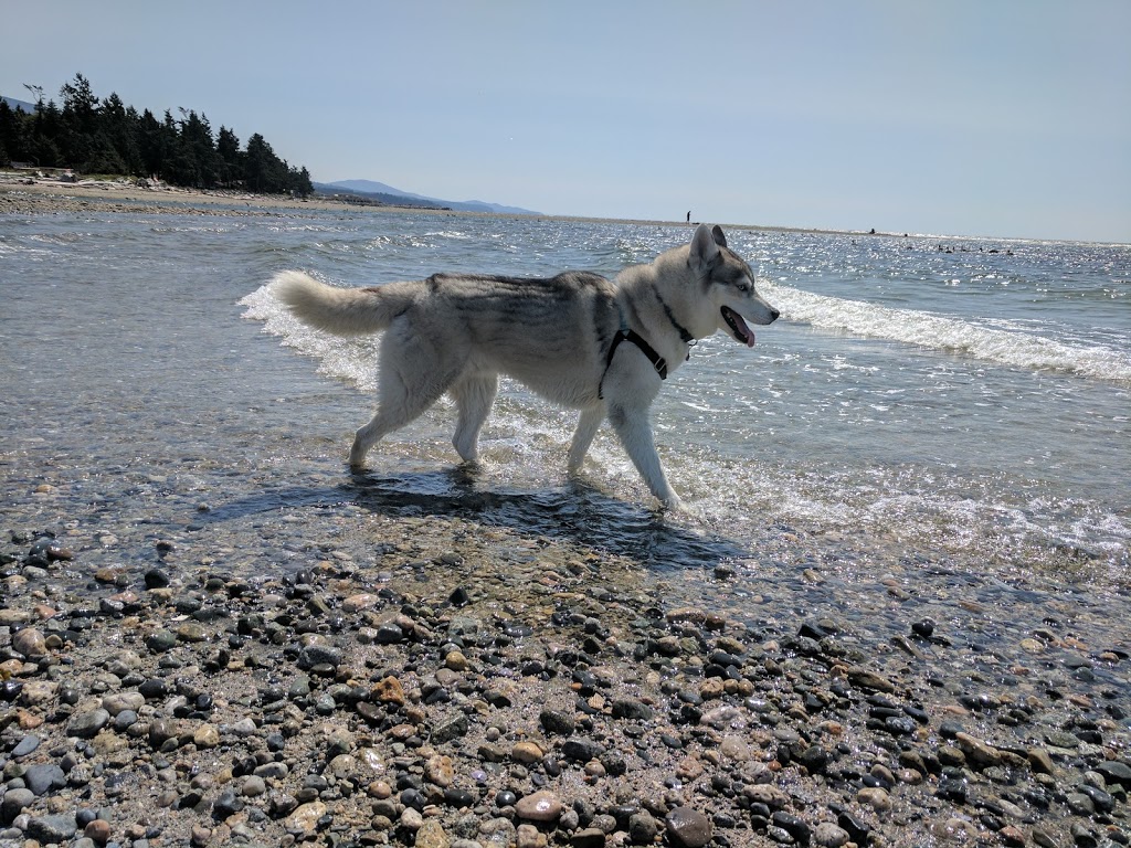 Brookman Park - Off leash dog park | 4605 Simpkins Rd, Sechelt, BC V0N 3A2, Canada