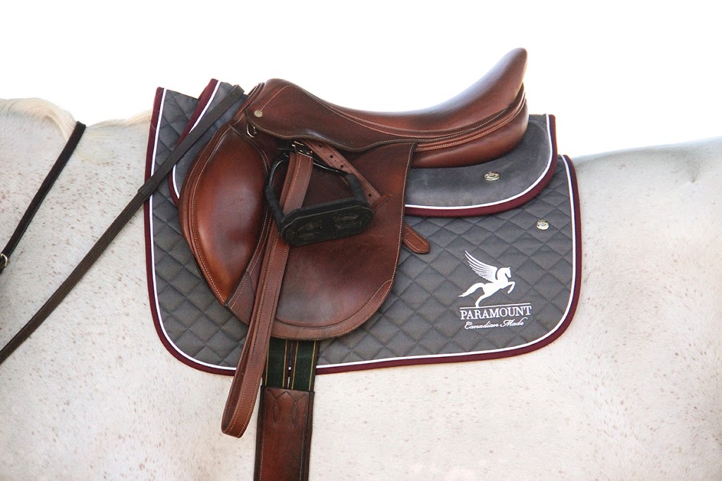 Paramount Saddlery | 1942 Wilby Rd, Baden, ON N3A 3M9, Canada | Phone: (519) 501-7222