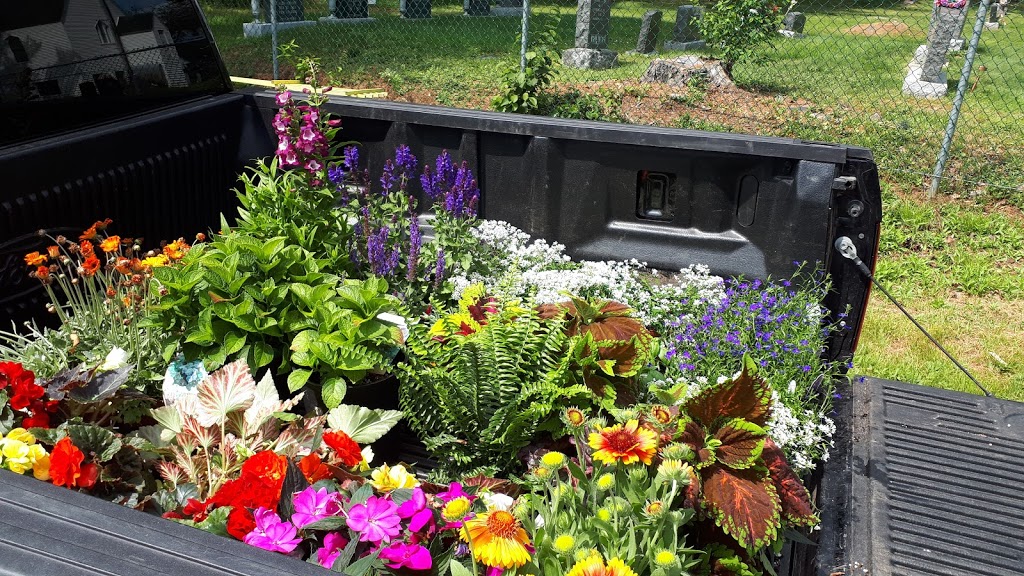 Daphnes Floral Design | 6600 Trunk #3, Western Shore, NS B0J 3M0, Canada | Phone: (902) 627-1088