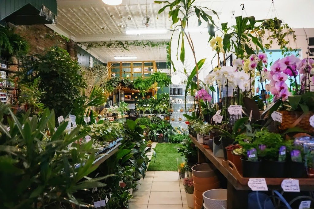 Lillipot - Boutique Florale | 3135 Rue Wellington, Verdun, QC H4G 1T2, Canada | Phone: (514) 507-2580