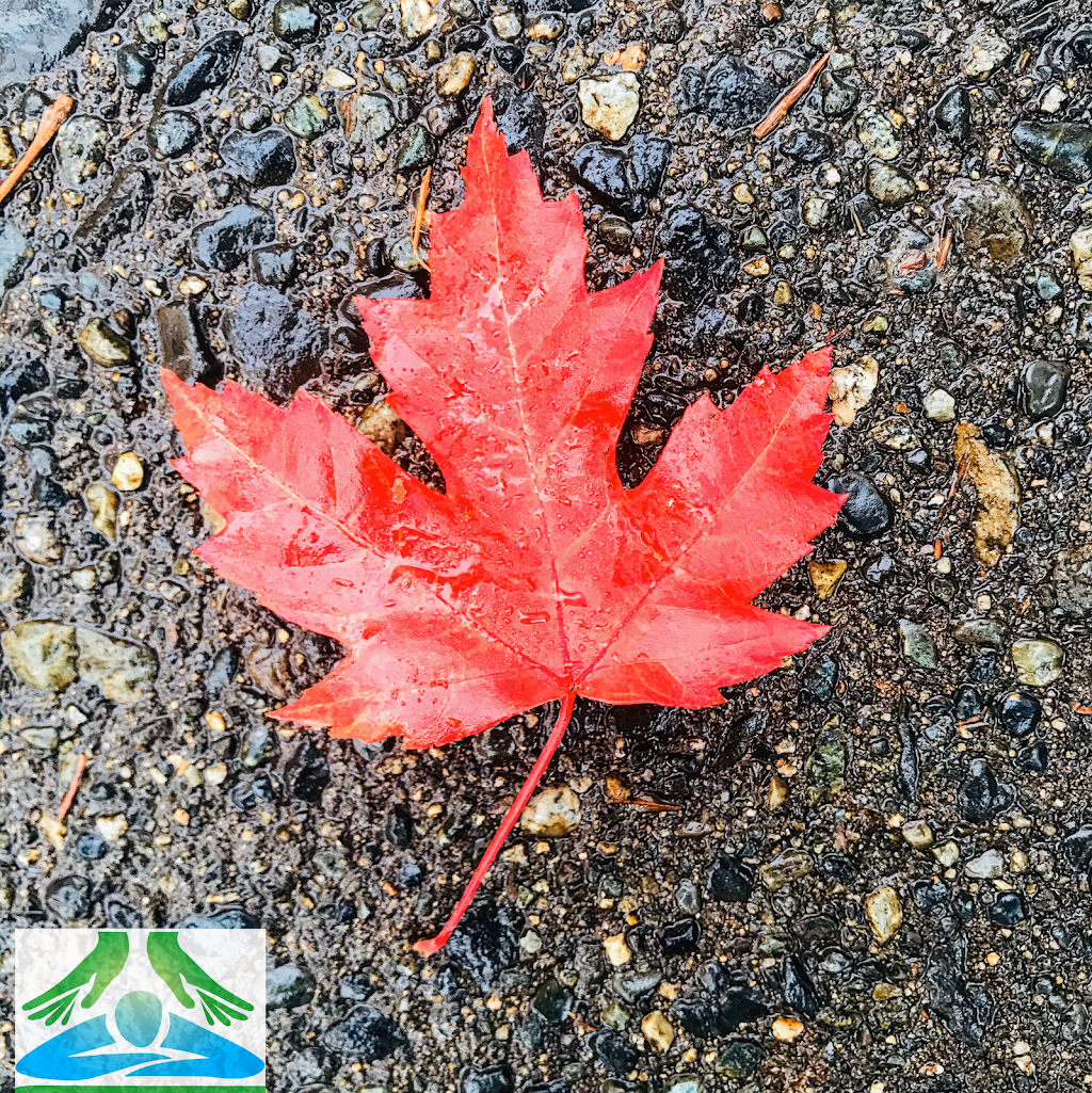 BZ Wellness & Massage Therapy Corporation | 5118 Joyce St #300, Vancouver, BC V5R 4H1, Canada | Phone: (604) 729-4783