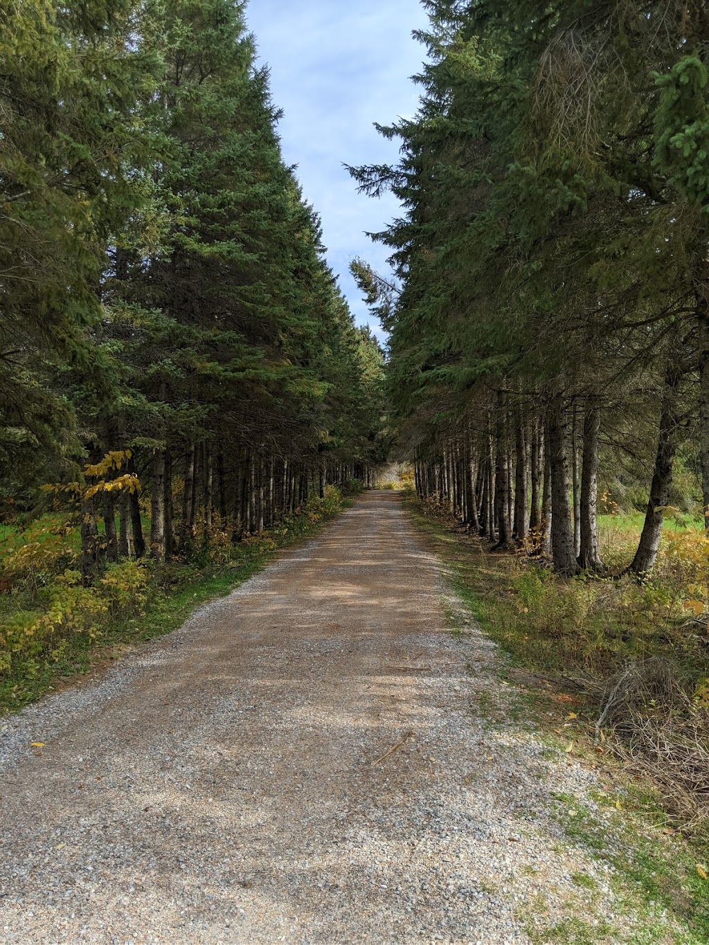 Doe Lake Girl Guide Camp | 1330 ON-518, Sprucedale, ON P0A 1Y0, Canada | Phone: (705) 685-7911