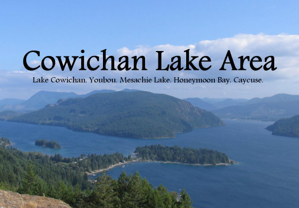 RE/MAX Lake Cowichan | 81 Cowichan Lake Rd, Lake Cowichan, BC V0R 2G0, Canada | Phone: (250) 749-6000