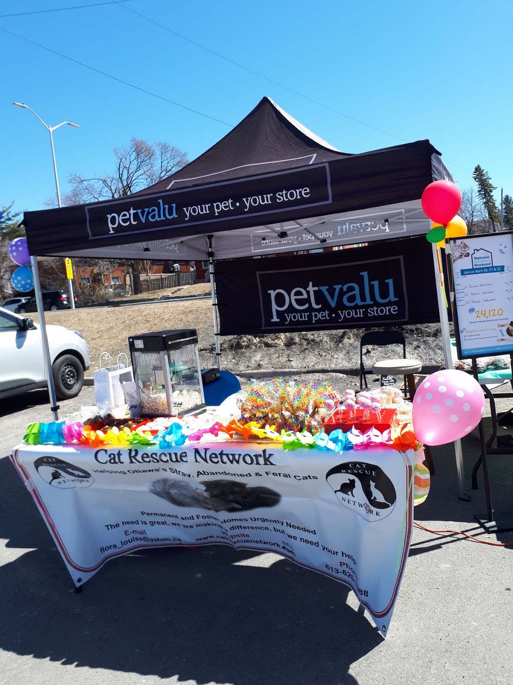 Pet Valu | 1490 Richmond Rd, Ottawa, ON K2B 6S1, Canada | Phone: (613) 820-1409