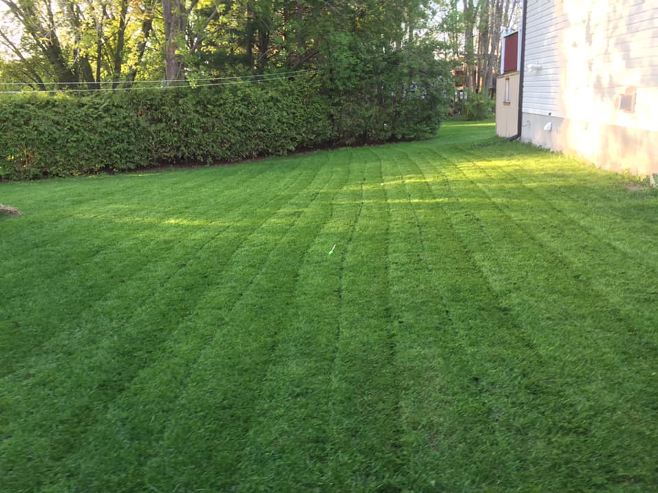 Seymours Lawn Care | Gill St, Coldwater, ON L0K 1E0, Canada | Phone: (705) 718-3426