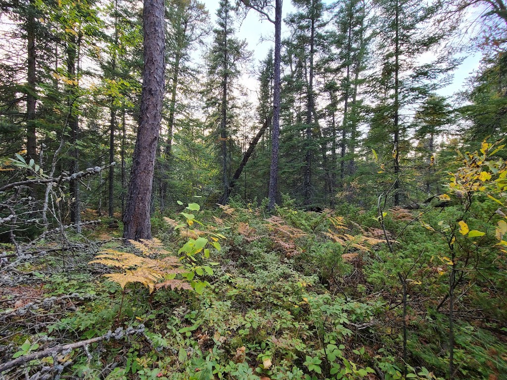 Top of the World Trail | 200 Ridge Rd, Falcon Beach, MB R0E 0N0, Canada | Phone: (204) 349-8273
