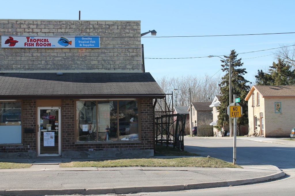 Tropical Fish Room Ltd | 166 Grand River Ave, Brantford, ON N3T 4X6, Canada | Phone: (519) 756-6225